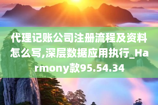 代理记账公司注册流程及资料怎么写,深层数据应用执行_Harmony款95.54.34