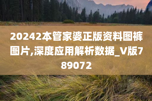 20242本管家婆正版资料图裤图片,深度应用解析数据_V版789072