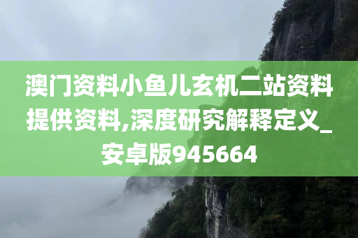 澳门资料小鱼儿玄机二站资料提供资料,深度研究解释定义_安卓版945664