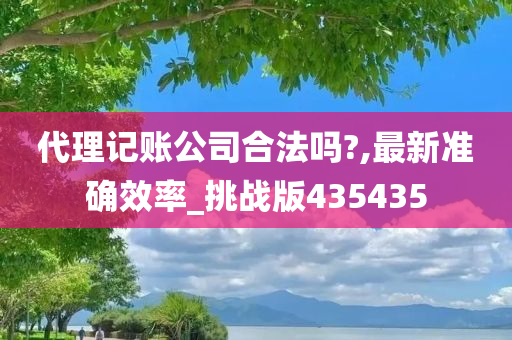 代理记账公司合法吗?,最新准确效率_挑战版435435