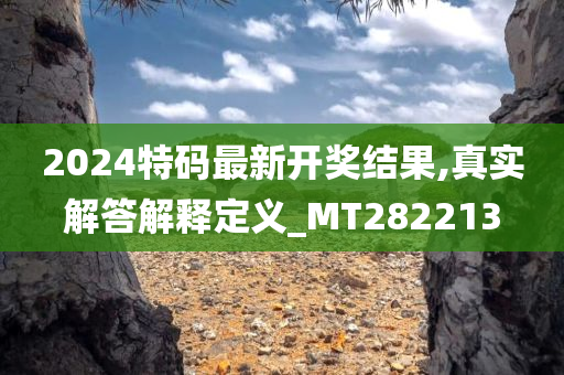 2024特码最新开奖结果,真实解答解释定义_MT282213