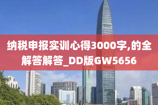 纳税申报实训心得3000字,的全解答解答_DD版GW5656