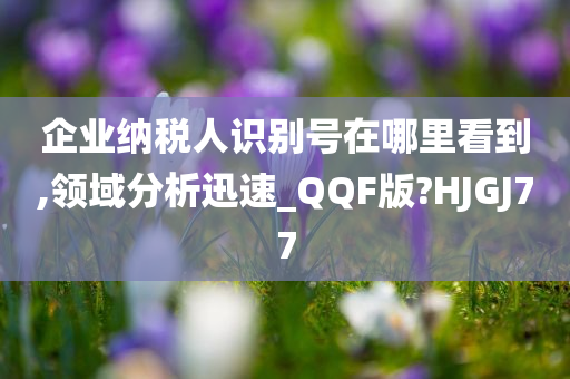 企业纳税人识别号在哪里看到,领域分析迅速_QQF版?HJGJ77