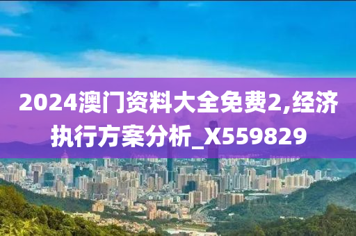 2024澳门资料大全免费2,经济执行方案分析_X559829