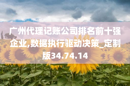 广州代理记账公司排名前十强企业,数据执行驱动决策_定制版34.74.14