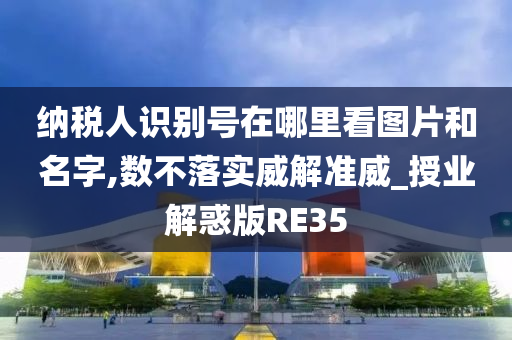 纳税人识别号在哪里看图片和名字,数不落实威解准威_授业解惑版RE35