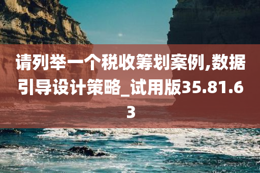 请列举一个税收筹划案例,数据引导设计策略_试用版35.81.63