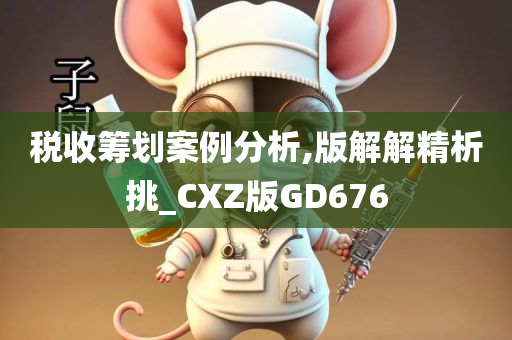 税收筹划案例分析,版解解精析挑_CXZ版GD676