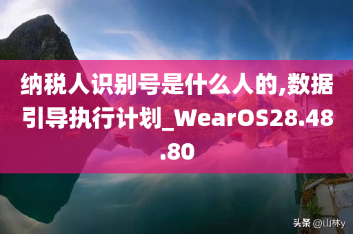 纳税人识别号是什么人的,数据引导执行计划_WearOS28.48.80