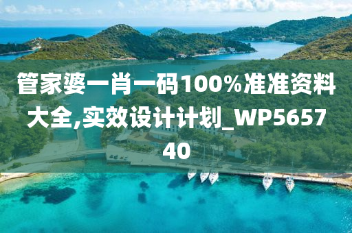 管家婆一肖一码100%准准资料大全,实效设计计划_WP565740