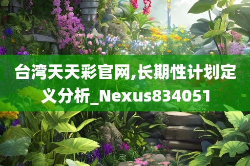 台湾天天彩官网,长期性计划定义分析_Nexus834051