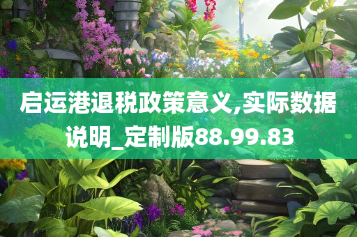 启运港退税政策意义,实际数据说明_定制版88.99.83