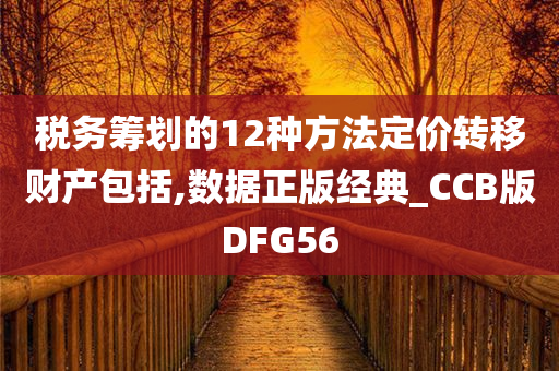 税务筹划的12种方法定价转移财产包括,数据正版经典_CCB版DFG56