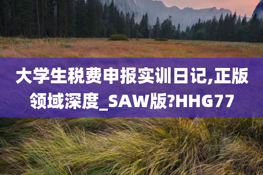 大学生税费申报实训日记,正版领域深度_SAW版?HHG77