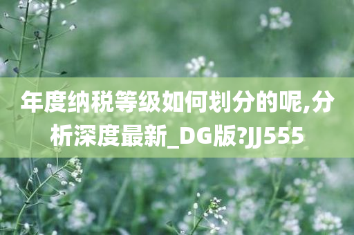 年度纳税等级如何划分的呢,分析深度最新_DG版?JJ555