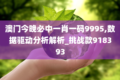 澳门今晚必中一肖一码9995,数据驱动分析解析_挑战款918393