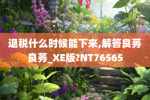 退税什么时候能下来,解答良莠良莠_XE版?NT76565