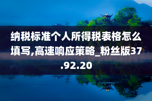 纳税标准个人所得税表格怎么填写,高速响应策略_粉丝版37.92.20