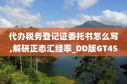 代办税务登记证委托书怎么写,解研正态汇经率_DD版GT45