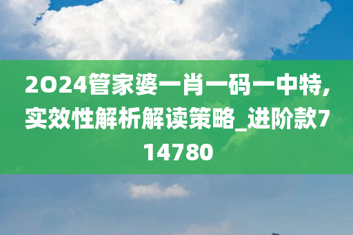 2O24管家婆一肖一码一中特,实效性解析解读策略_进阶款714780