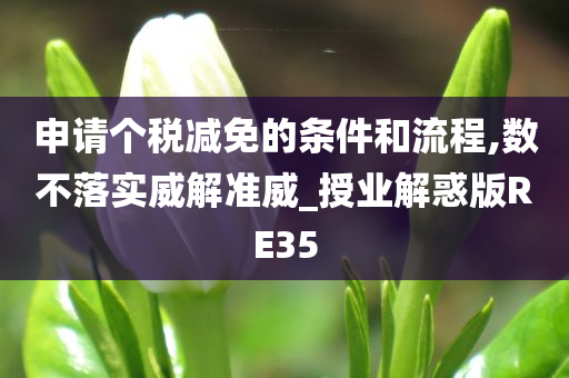 申请个税减免的条件和流程,数不落实威解准威_授业解惑版RE35