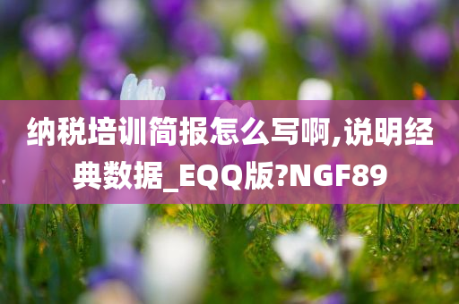 纳税培训简报怎么写啊,说明经典数据_EQQ版?NGF89