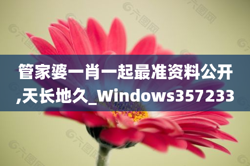 管家婆一肖一起最准资料公开,天长地久_Windows357233