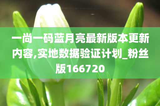 一尚一码蓝月亮最新版本更新内容,实地数据验证计划_粉丝版166720