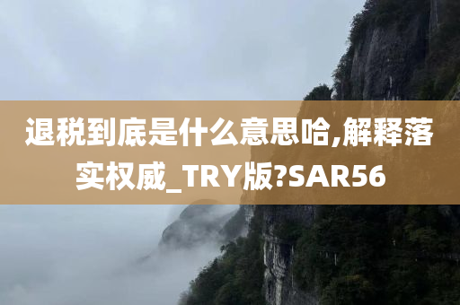 退税到底是什么意思哈,解释落实权威_TRY版?SAR56