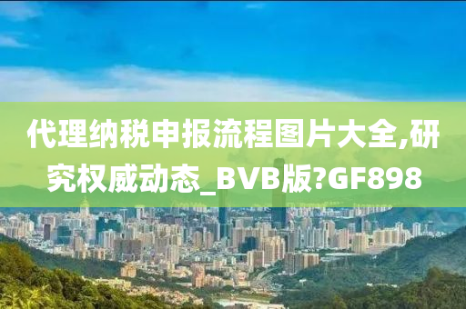 代理纳税申报流程图片大全,研究权威动态_BVB版?GF898