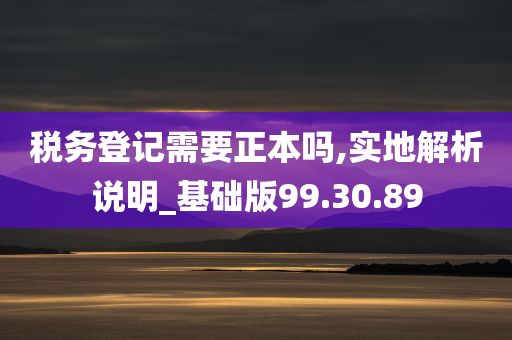 税务登记需要正本吗,实地解析说明_基础版99.30.89