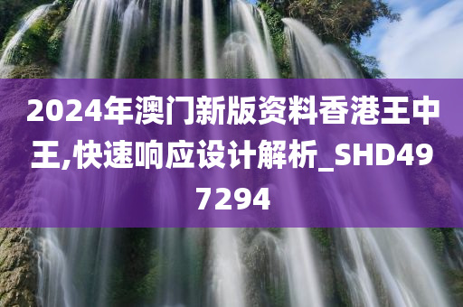 2024年澳门新版资料香港王中王,快速响应设计解析_SHD497294