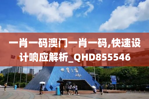 一肖一码澳门一肖一码,快速设计响应解析_QHD855546