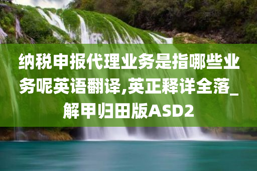 纳税申报代理业务是指哪些业务呢英语翻译,英正释详全落_解甲归田版ASD2