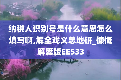 纳税人识别号是什么意思怎么填写啊,解全戏义总地研_慷慨解囊版EE533