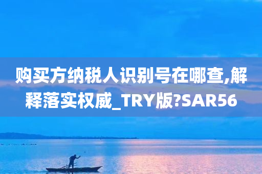 购买方纳税人识别号在哪查,解释落实权威_TRY版?SAR56