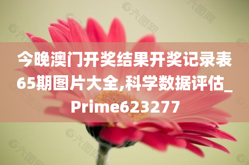 今晚澳门开奖结果开奖记录表65期图片大全,科学数据评估_Prime623277