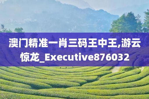 澳门精准一肖三码王中王,游云惊龙_Executive876032