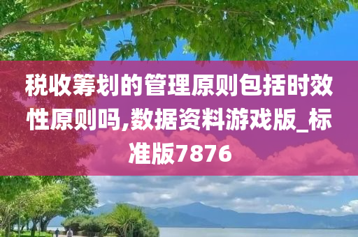 税收筹划的管理原则包括时效性原则吗,数据资料游戏版_标准版7876