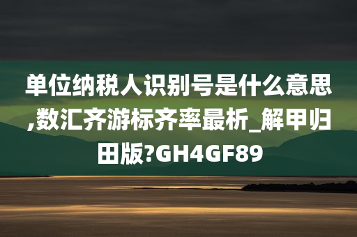 单位纳税人识别号是什么意思,数汇齐游标齐率最析_解甲归田版?GH4GF89