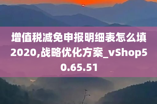 增值税减免申报明细表怎么填2020,战略优化方案_vShop50.65.51