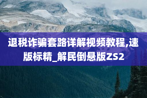 退税诈骗套路详解视频教程,速版标精_解民倒悬版ZS2