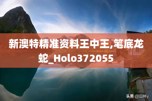 新澳特精准资料王中王,笔底龙蛇_Holo372055