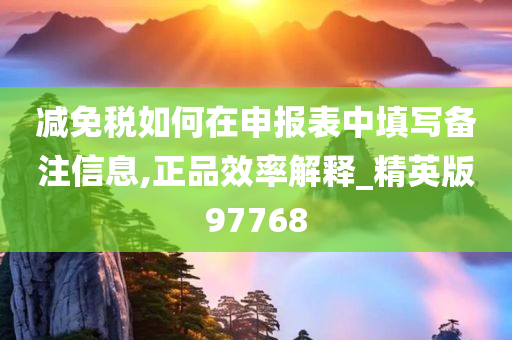 减免税如何在申报表中填写备注信息,正品效率解释_精英版97768