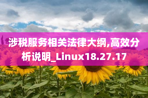 涉税服务相关法律大纲,高效分析说明_Linux18.27.17