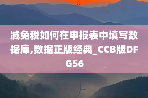 减免税如何在申报表中填写数据库,数据正版经典_CCB版DFG56