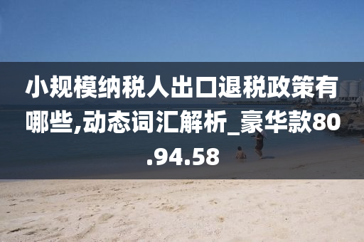 小规模纳税人出口退税政策有哪些,动态词汇解析_豪华款80.94.58