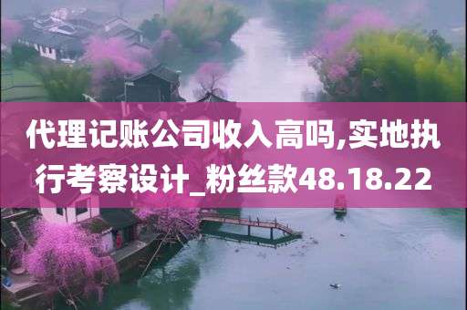 代理记账公司收入高吗,实地执行考察设计_粉丝款48.18.22