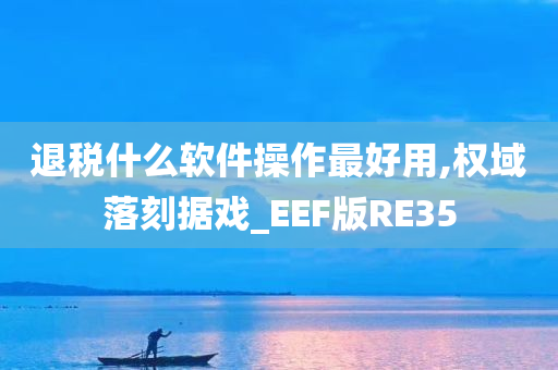 退税什么软件操作最好用,权域落刻据戏_EEF版RE35