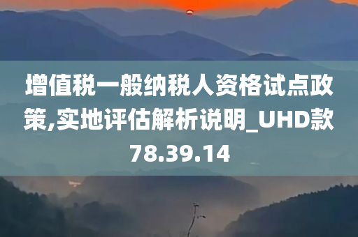 增值税一般纳税人资格试点政策,实地评估解析说明_UHD款78.39.14